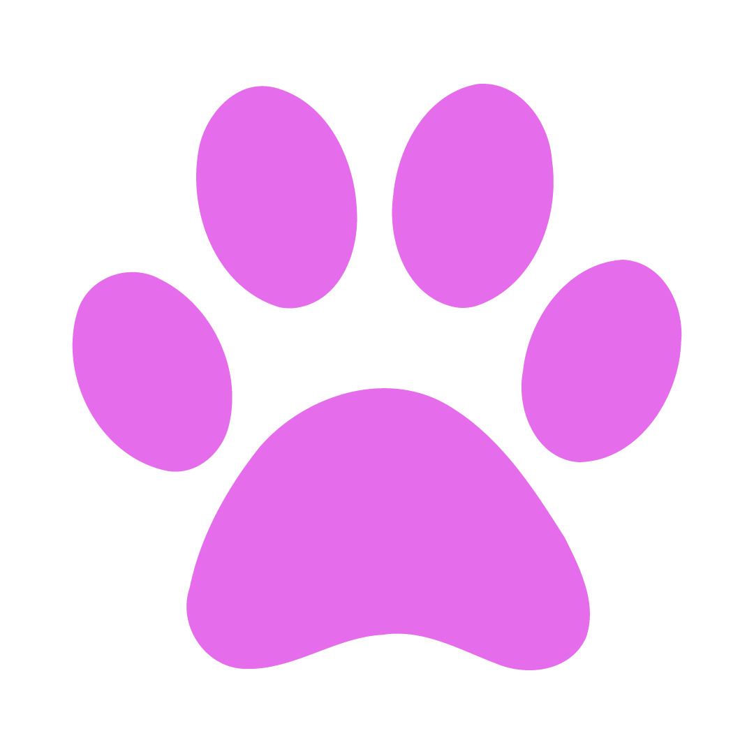 Pet Paw Icon